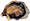 huitre tarbouriech